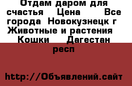 Отдам даром для счастья. › Цена ­ 1 - Все города, Новокузнецк г. Животные и растения » Кошки   . Дагестан респ.